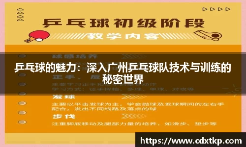 乒乓球的魅力：深入广州乒乓球队技术与训练的秘密世界